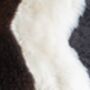 Sheepskin Lambskins Silky Soft Naturally, thumbnail 6 of 10