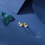 Sterling Silver Four Point Star Earrings, thumbnail 6 of 12