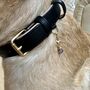 Amethyst Pet Collar Charm, thumbnail 2 of 3