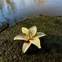 Lily Gold Flower Brooch, 14k Gold Plated, thumbnail 2 of 4