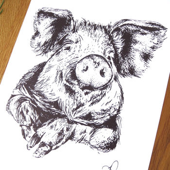 Pig Pen And Ink Illustration Framed Print, 3 of 3