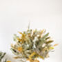 Dried Eucalyptus Bouquet With Statice And Solidago, thumbnail 2 of 5