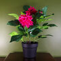 Artificial Dhalia Flowering Plant Pink, thumbnail 1 of 2