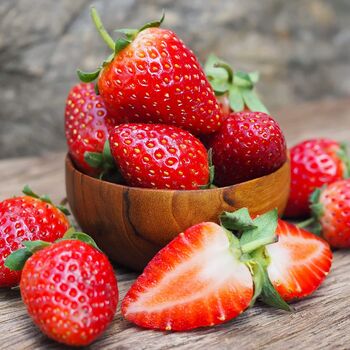 Strawberry 'Malling Centenary' Three X Full Plants, 4 of 6