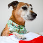 Green Dog Breeds Christmas Dog Bandana, thumbnail 9 of 10