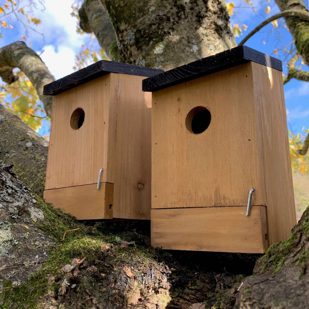 Set Of Two Traditional Wooden Bird Nest Boxes By Garden Selections