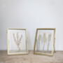 Set Of Two: Gold Pressed Flower Frames, thumbnail 5 of 6
