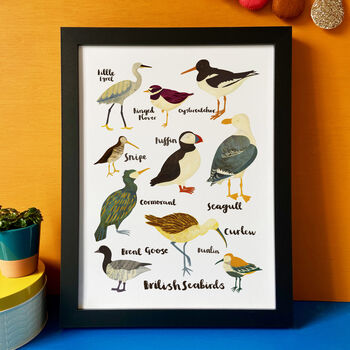 'British Seabirds' Illustrated Print, 3 of 7