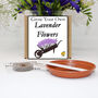 Gardening Gift For Her. Grow Your Own Lavender Plant, thumbnail 1 of 4