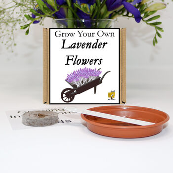 Gardening Gift For Her. Grow Your Own Lavender Plant, 2 of 6