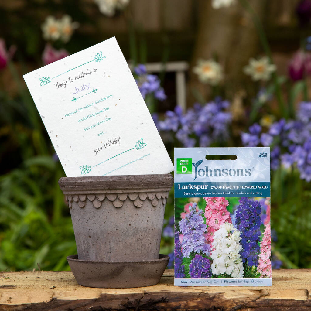 July Birth Flower Gift Set With Handmade Pot, 1 of 3