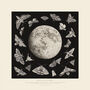 Moths And The Moon, thumbnail 1 of 3