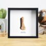 Cave Bear Bone Box Frame Real Authentic Jurassic Dinosaur Fossil Museum Quality Natural History Interior Design Home Decor Display Gift Ornament, thumbnail 1 of 4