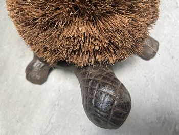 Cast Iron Tortoise Boot Scraper – Shoe Brush, 11 of 12