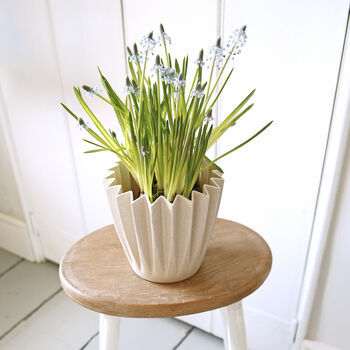 Pleated Eco Plant Pot, 2 of 2