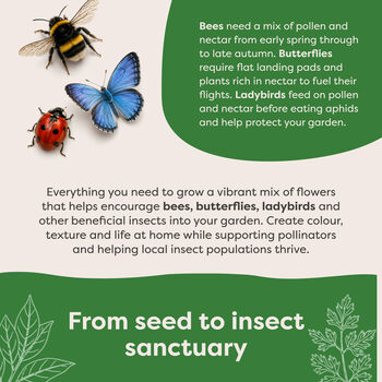 Personalised Insect Hotel Gift Pack, 4 of 10
