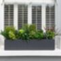 Evergreen Artificial Window Box In Large, thumbnail 1 of 2