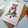 Staffordshire Bull Terrier In A Scarf Greetings Card, thumbnail 2 of 2