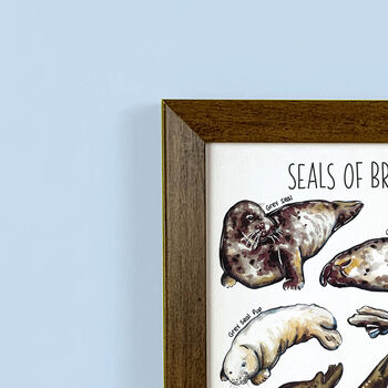 Seals Of Britain Wildlife Print, 3 of 10