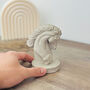 Horse Bust Concrete Sculpture Gift For Horse Lovers, thumbnail 6 of 7