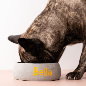 Concrete Personalised Pet Bowl, 4 of 8