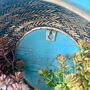 Brass Rattan Wall Planter Ltzaf142, thumbnail 5 of 12