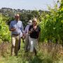 Premium Vineyard Tour And Wine Tasting For Two, thumbnail 2 of 4