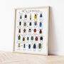 The A To Z Of Beetles Print, thumbnail 3 of 6