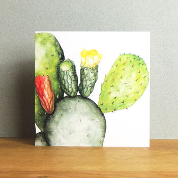 Prickly Pear Greetings Card, 4 of 5