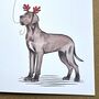 Great Dane Christmas Card, thumbnail 3 of 3