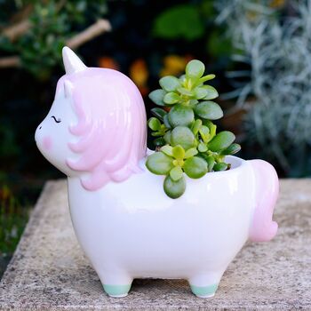 Unicorn Planter With Choice Of Plants, 3 of 7
