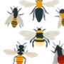 British Bees Art Print, thumbnail 5 of 6
