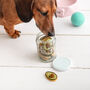 Mini Alan The Avocado Iced Dog Biscuit Jar, thumbnail 1 of 3