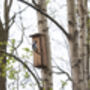Handcrafted Woodpecker Nesting Box – Fsc Pinewood Wooden, thumbnail 8 of 12