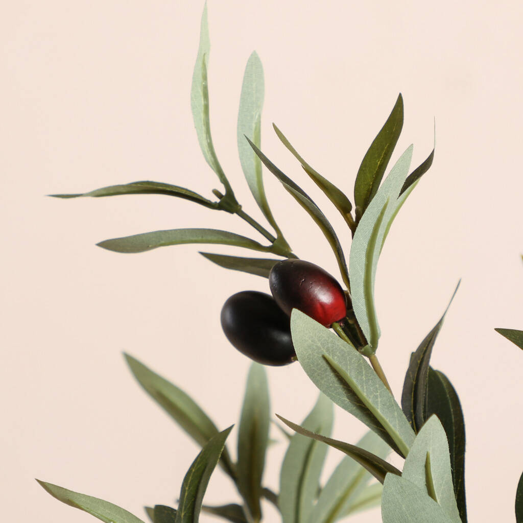 Artificial Evergreen Olive Tree By Dibor