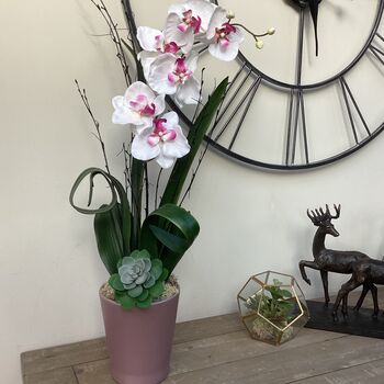 White Artificial Silk Orchid Pink Pot Mothers Day Gift, 2 of 6