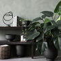 House Doctor Set Of Two Black Iron Planters, thumbnail 4 of 4