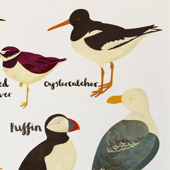 'British Seabirds' Illustrated Print, 5 of 7