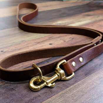 Leather Dog Lead By Hide & Home