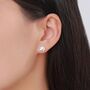 Sterling Silver Spartan Helmet Stud Earrings, thumbnail 5 of 12