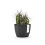 Ecopots Stockholm Herb Pot Made From Recycled Plastic, thumbnail 6 of 6