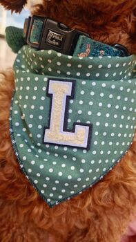 Personalised Polka Dot Dog Tie On Bandana Red Or Green, 10 of 12