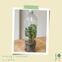 Children's Eco Activity Box Totally Tropical Rainforest, thumbnail 7 of 8