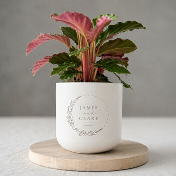 Personalised Engraved Plant Pot And Plant Wedding Gift, 4 of 9