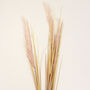 G Decor Extra Large Artificial Wild Grass Reed Stem, thumbnail 5 of 6