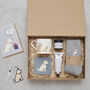 Cockapoo / Labradoodle Dog Walking Socks – The Perfect Gift For Dog Lovers, thumbnail 6 of 12