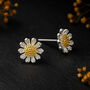 Sterling Silver Golden Daisy Stud Earrings, thumbnail 1 of 9