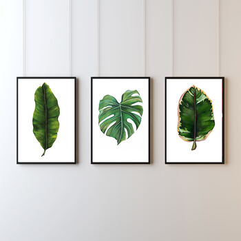 Ficus Elastica A3 Art Print, 3 of 3