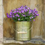 Country Cottage Planter, thumbnail 1 of 7