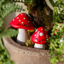 Mini Mushroom Plant Pot Markers, thumbnail 2 of 4
